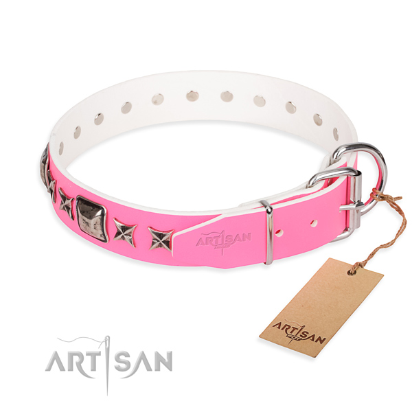 Tear-proof leather collar for your favourite four-legged friend