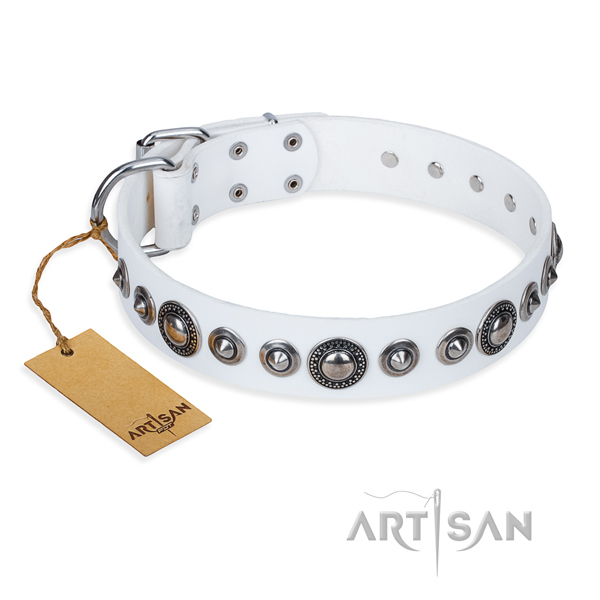 Awesome leather collar for your gorgeous four-legged friend