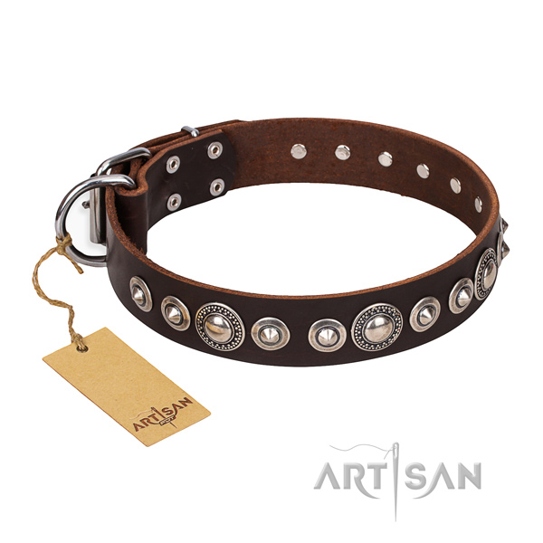Stylish leather collar for your gorgeous four-legged friend