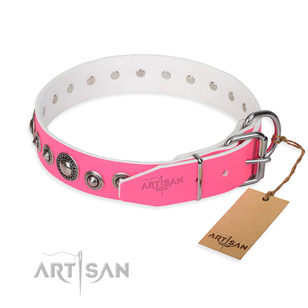 Stylish leather collar for your stunning canine