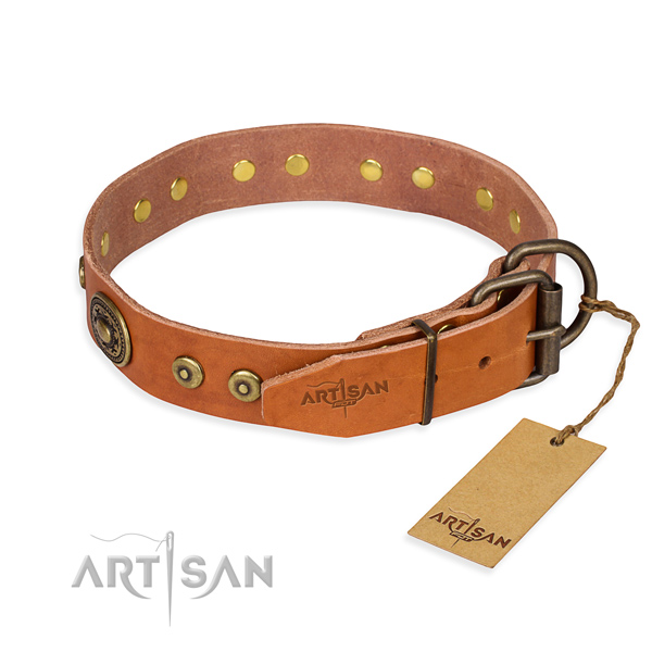 Versatile leather collar for your elegant canine