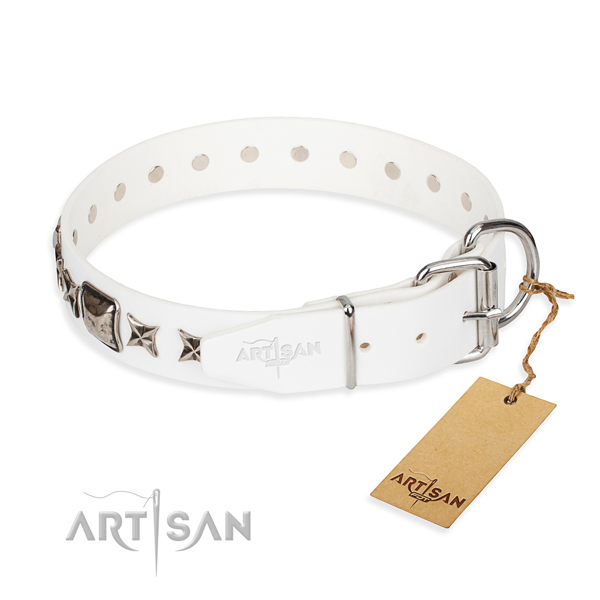 Fashionable leather collar for your beloved canine