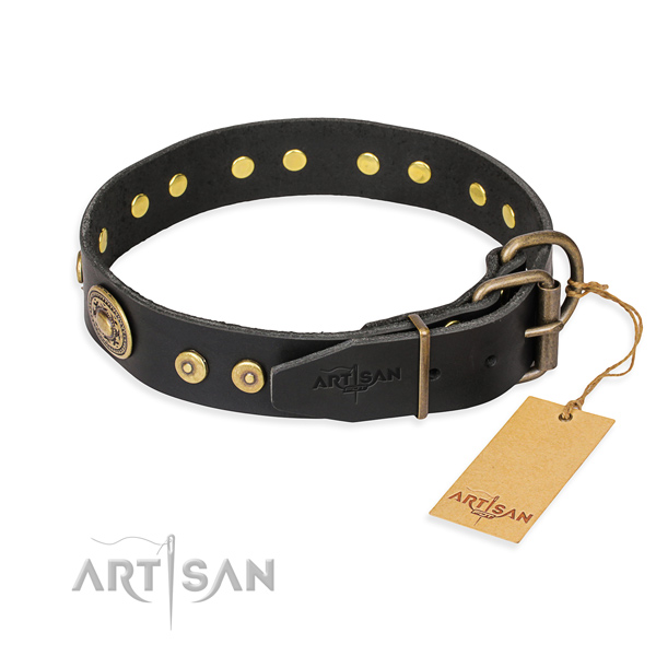 Functional leather collar for your favourite dog