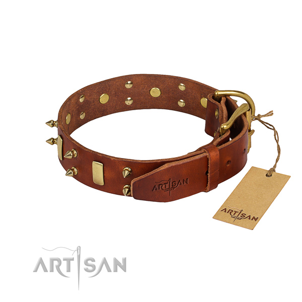 Dependable leather dog collar with durable hardware