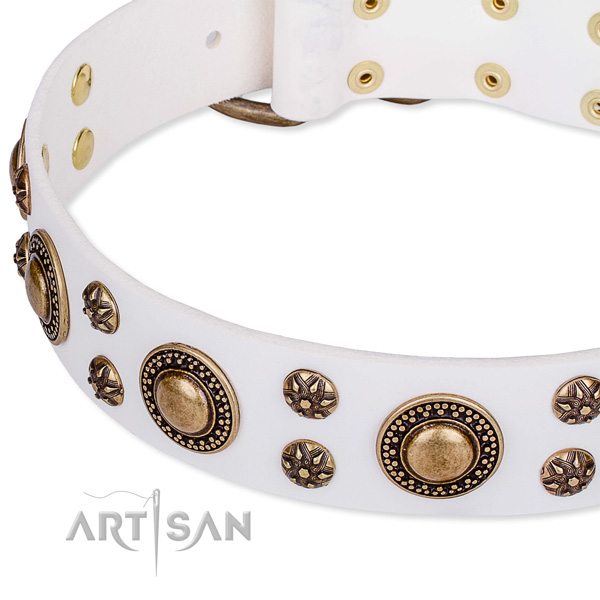 Easy to put on/off leather dog collar with resistant to tear and wear brass plated buckle and D-ring