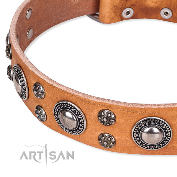 Easy to use leather dog collar with extra sturdy non-rusting fittings