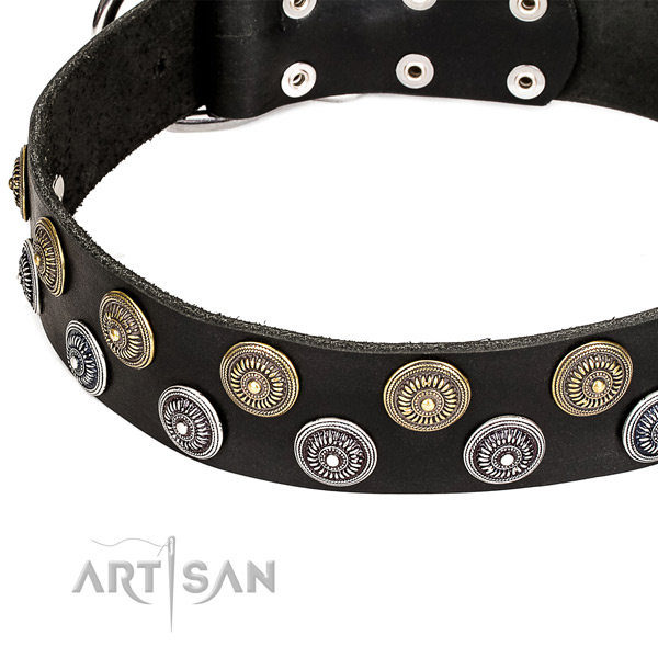 Quick to fasten leather dog collar with resistant to tear and wear rust-proof hardware