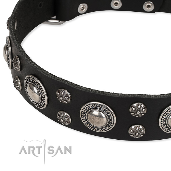 Easy to put on/off leather dog collar with almost unbreakable rust-proof hardware