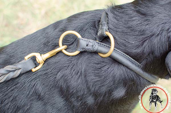 Silent leather Rottweiler choke collar