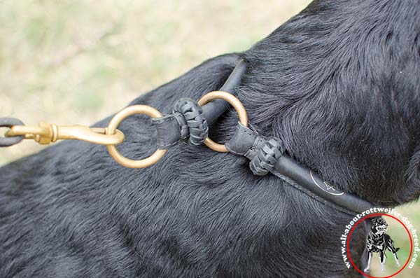 Silent genuine leather Rottweiler choke collar