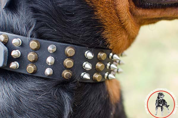 Stylish leather Rottweiler collar - close look