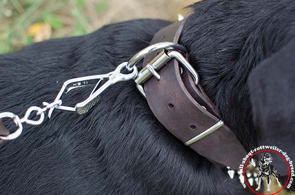 Decorated leather canine collar for Rottweiler with strong fittings - close-up