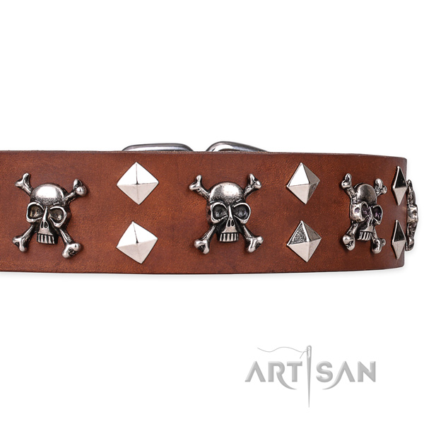 Day-to-day leather dog collar with remarkable decorations