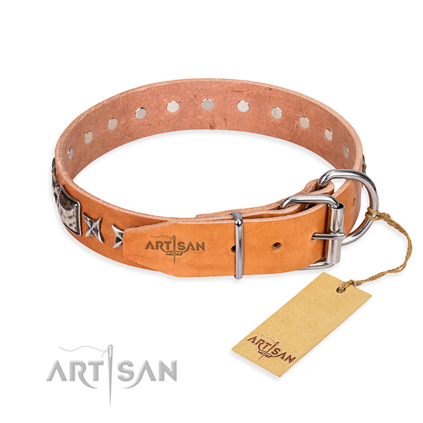 Versatile leather collar for your favourite pet