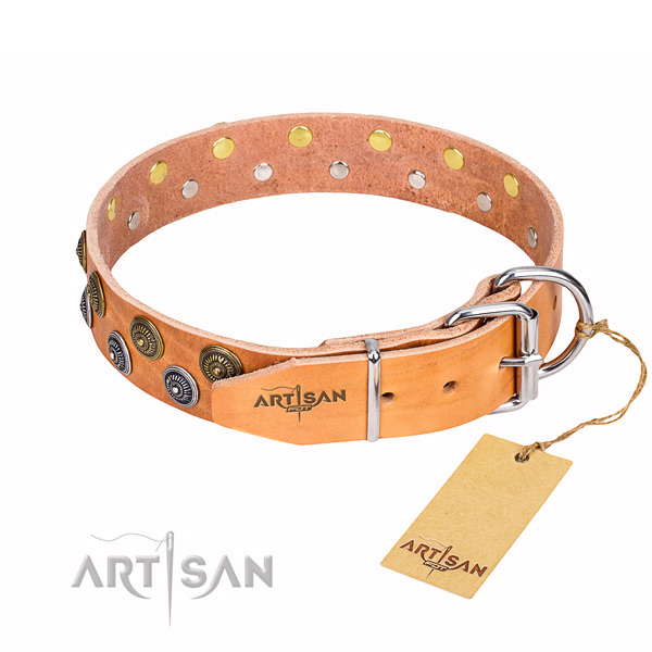 Awesome leather collar for your elegant four-legged friend
