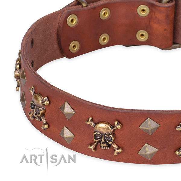 Casual leather dog collar with fashionable studs