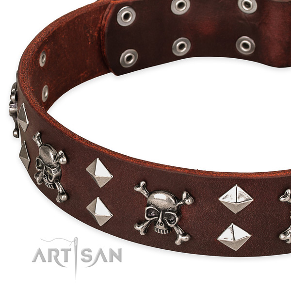 Fancy leather dog collar for stylish walking