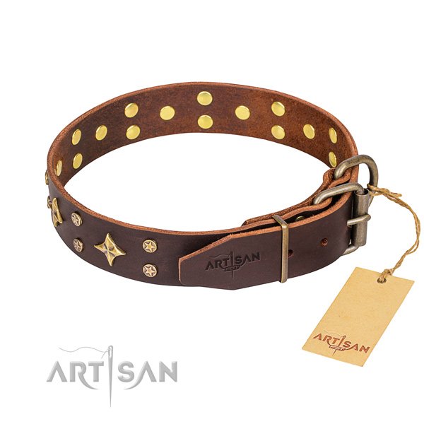 Practical leather collar for your stunning dog