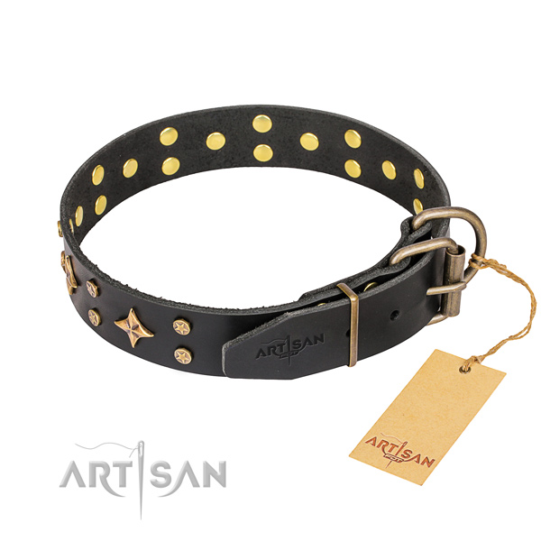 Sturdy leather dog collar with durable fittings