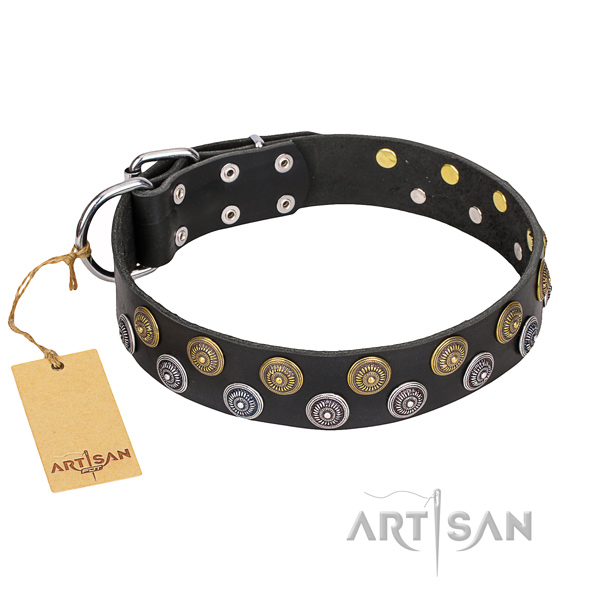 Hardwearing leather dog collar with non-rusting hardware