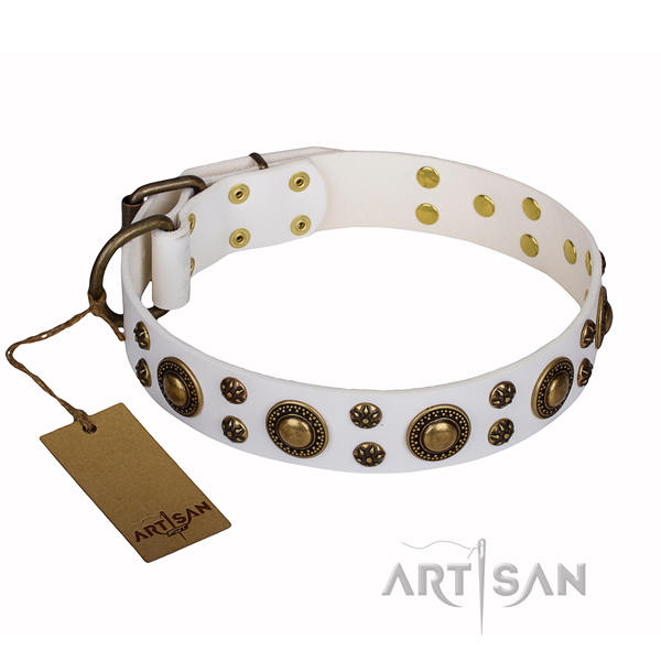 Long-lasting leather dog collar with corrosion-resistant fittings