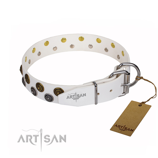 Reliable leather dog collar with riveted hardware