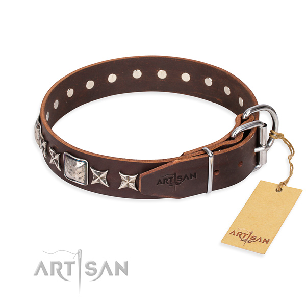 Fashionable leather collar for your beloved four-legged friend