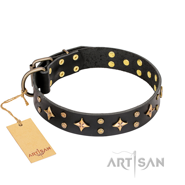 Stylish leather collar for your stunning four-legged friend