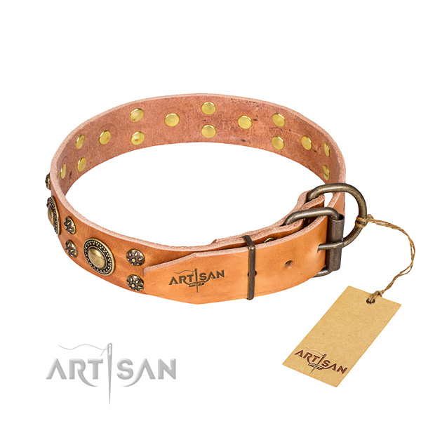 Wear-proof leather collar for your darling canine