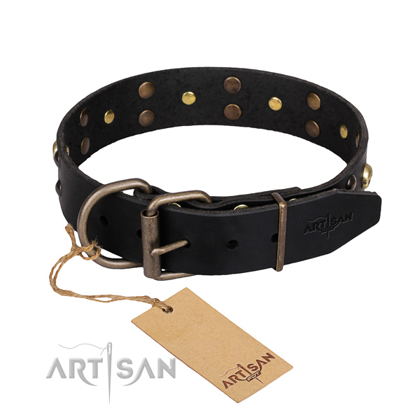 Tough leather dog collar with durable details