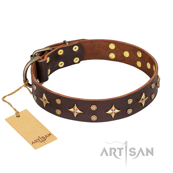 Sturdy leather dog collar with rust-proof hardware