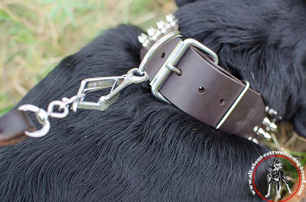 Leather dog collar for Rottweiler with heavy-duty hardware