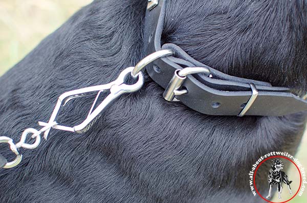 Leather dog collar for Rottweiler with nickel plated hardware