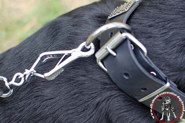Strong leather dog collar for Rottweiler with rust-free hardware