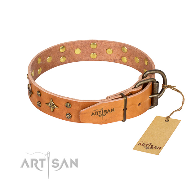 Wear-proof leather collar for your gorgeous pet