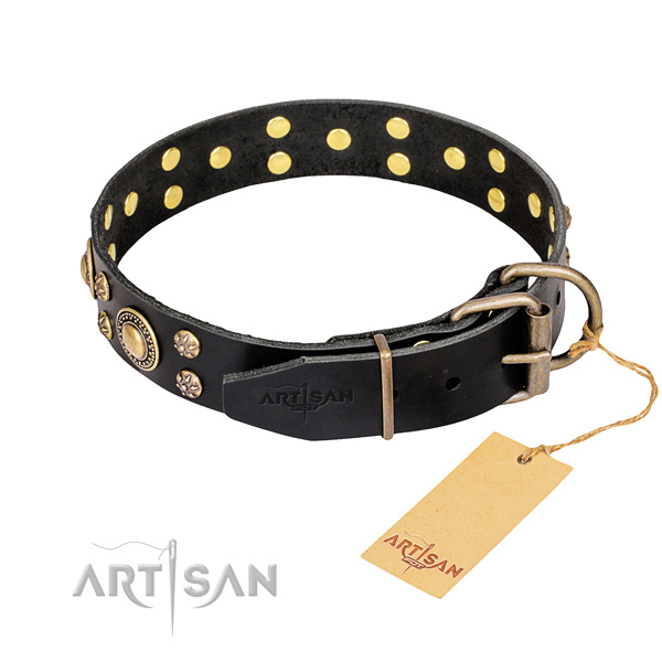 Awesome leather collar for your favourite pet