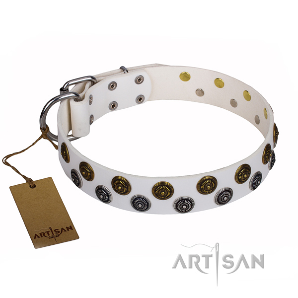 Wear-proof leather collar for your favourite canine