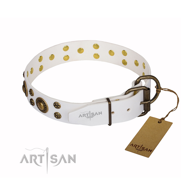 Awesome leather collar for your stunning four-legged friend
