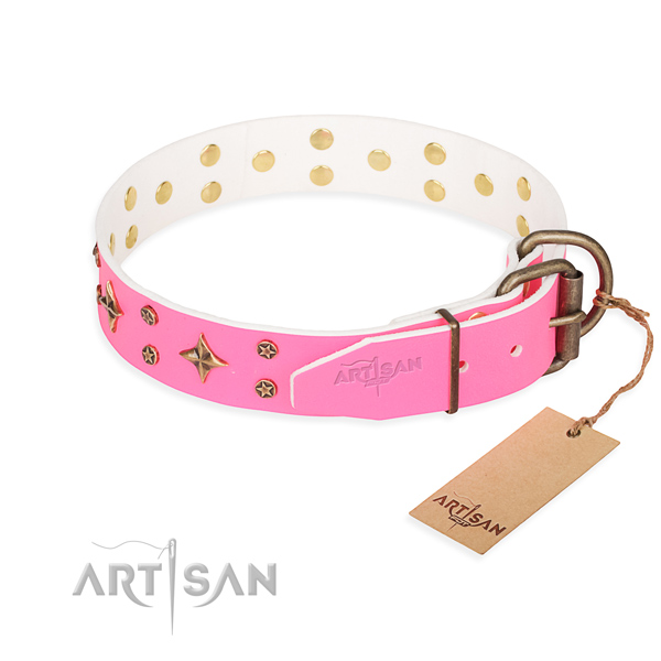 Practical leather collar for your beloved four-legged friend