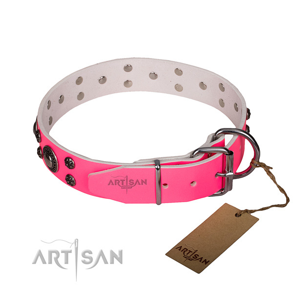 Durable leather collar for your handsome pet