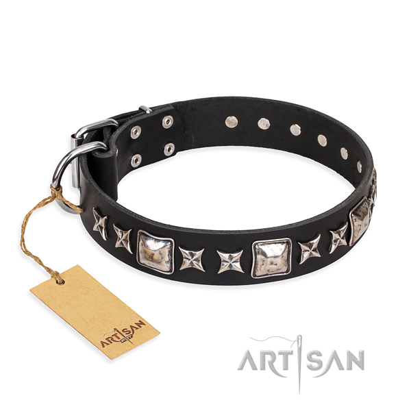 Sturdy leather dog collar with chrome plated details
