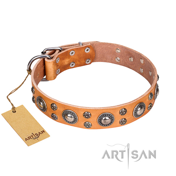 Indestructible leather dog collar with strong details