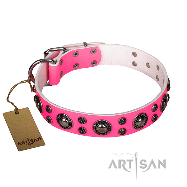 Tough leather dog collar with reliable elements