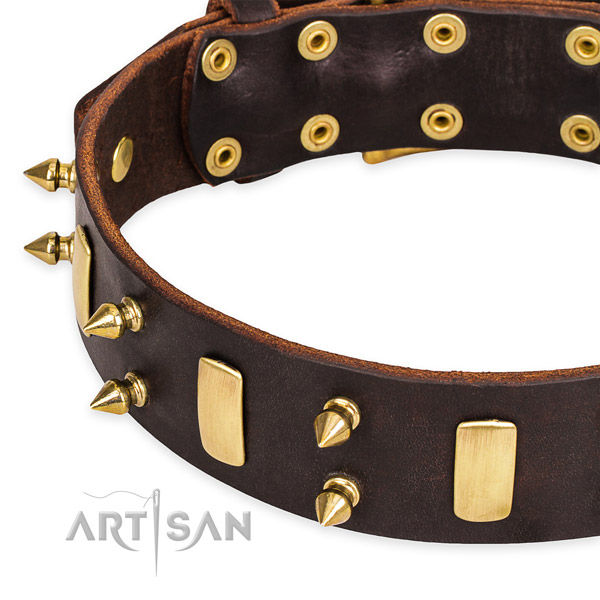 Easy to use leather dog collar with resistant to tear and wear brass plated buckle