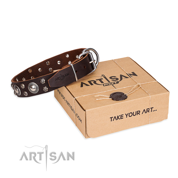 Casual style leather dog collar with exceptional studs