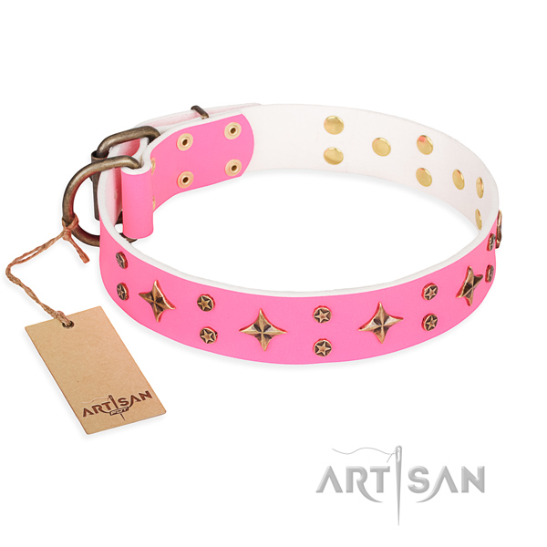 Reliable leather dog collar with non-rusting details