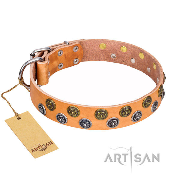 Long-lasting leather dog collar with riveted hardware