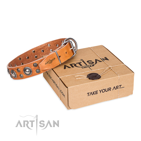 Casual leather dog collar with sensational decorations