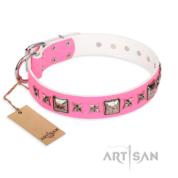 Sturdy leather dog collar with non-corrosive details