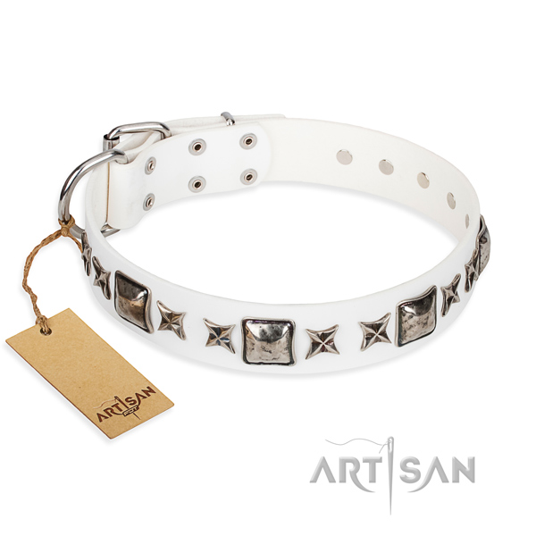 Indestructible leather dog collar with durable fittings